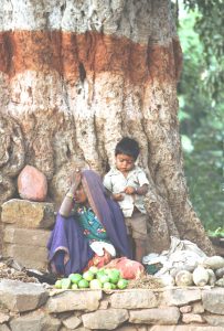 Indische Impressionen 3