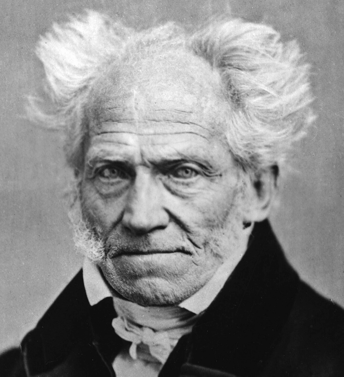 Philosophie im Schloss (VII): Schopenhauer zur Einführung